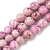 Natural Fossil Graduated Beads Strands G-F830-A03-01-3