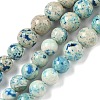 Natural Fossil Graduated Beads Strands G-F830-A03-01E-2