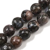 Natural Glaucophane Beads Strands X-G-R485-12-8mm-2