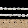 Natural Trochid Shell/Trochus Shell Beads Strands SH-CBA2978-09-4