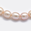 Natural Cultured Freshwater Pearl Beads Strands PEAR-K003-23C-01-3