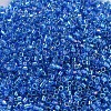 MIYUKI Delica Beads SEED-X0054-DB0177-3