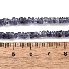 Natural Iolite Beads Strands G-K427-C01-01-5