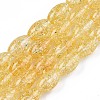 Transparent Crackle Glass Beads Strands GLAA-S192-B-010G-1