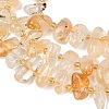 Natural Citrine(Heated) Beads Strands G-K393-B03-4
