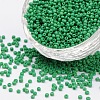 20G Glass Seed Beads SEED-ZF0001-01B-1