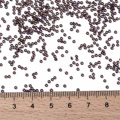 MIYUKI Round Rocailles Beads X-SEED-G009-RR2446-1