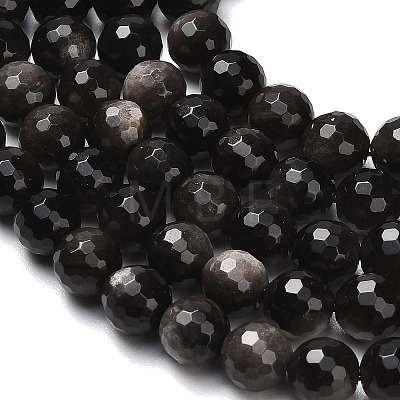 Natural Silver Obsidian Beads Strands G-C280-B08-8mm-1