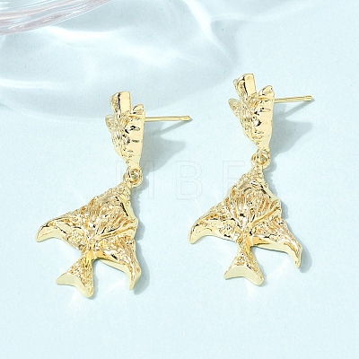 Brass Dangle Earrings EJEW-D352-06G-02-1