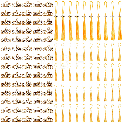 Tibetan Style Alloy Charms FIND-SP0005-71-1