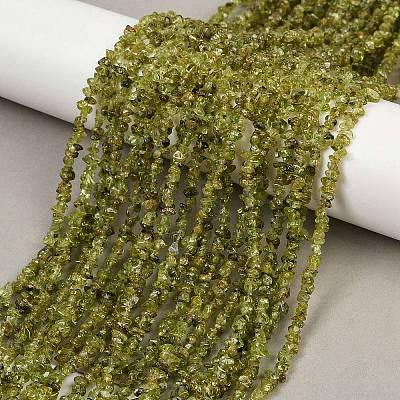 Natural Peridot Beads Strands G-P332-48-02-1