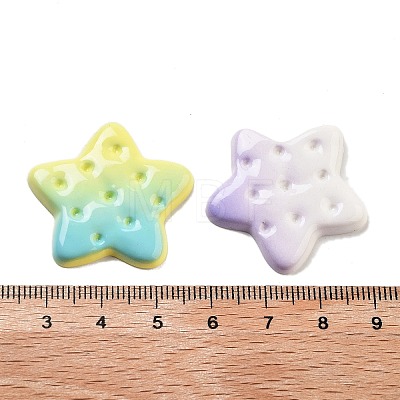 Gradient Color Opaque Resin Imitation Food Decoden Cabochons RESI-S04-05-1