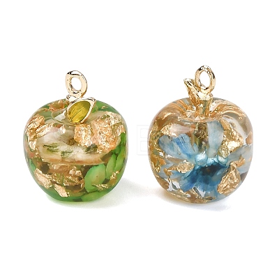 Resin Pendants RESI-I356-02-1