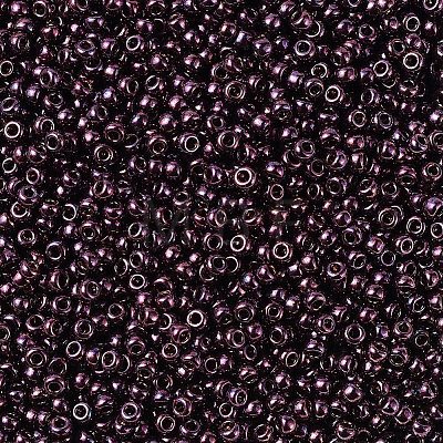 MIYUKI Round Rocailles Beads X-SEED-G007-RR0460-1