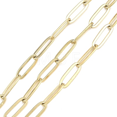 304 Stainless Steel Paperclip Chains CHS-P025-01G-1