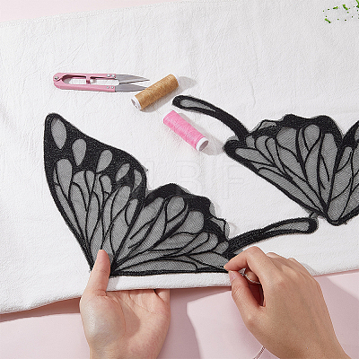 2Pcs 2 Colors Lace Iron on/Sew On Patches PATC-GF0001-54-1