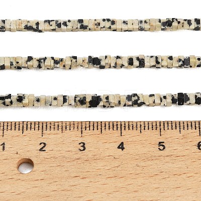 Natural Dalmatian Jasper Beads Strands GG-CBA2498-C09-01-1