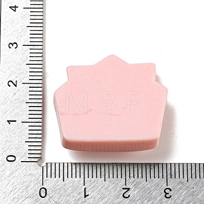 Birthday Theme Opaque Resin Decoden Cabochons CRES-F032-A08-1