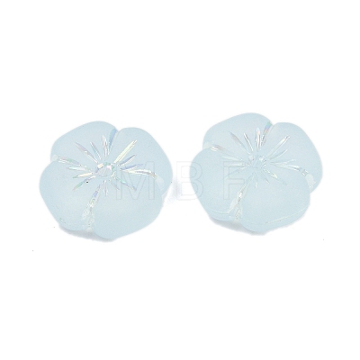 Frosted Transparent Acrylic Beads OACR-P029-19B-06-1