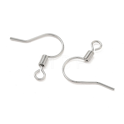 SHEGRACE Brass Earring Hooks XGR0140P-153P-1