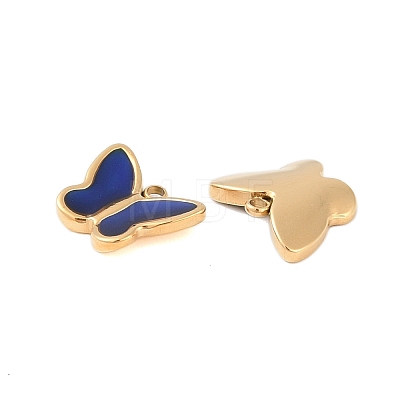 Ion Plating(IP) Temperature Color Change 304 Stainless Steel Enamel Charms STAS-P366-47G-1