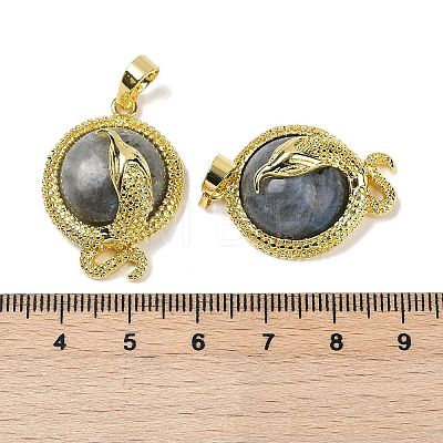 Natural Labradorite Flat Round Shaped Brass Pendants KK-F887-03G-27-1