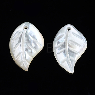 Natural White Shell Pendants SSHEL-S258-100C-1