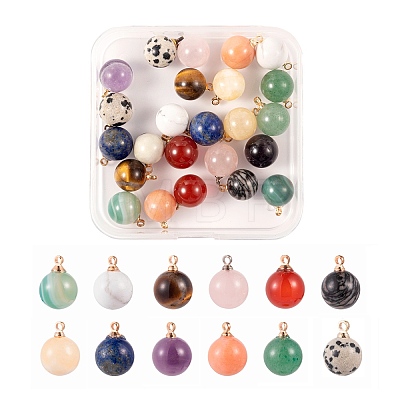 24Pcs 12 Style Natural Gemstone Charms G-LS0002-02-1