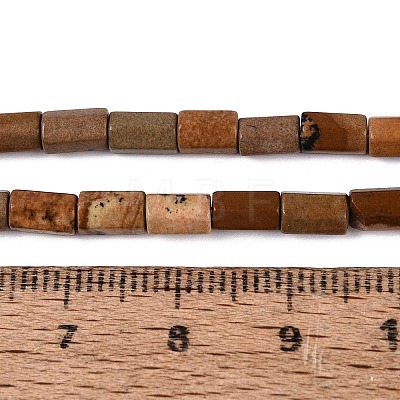 Natural Picture Jasper Beads Strands GG-N002-01A-13-1