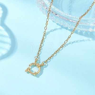 2.5MM 304 Stainless Steel Figaro Chain Necklaces with Spring Ring Clasps NJEW-JN05709-1