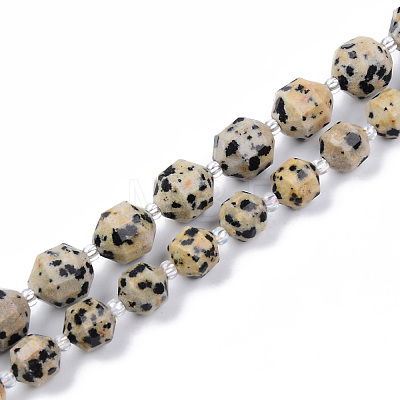 Natural Dalmatian Jasper Beads Strands G-R482-16-8mm-1