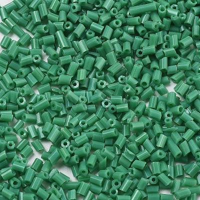 Two Cut Glass Seed Beads CSDB47-1