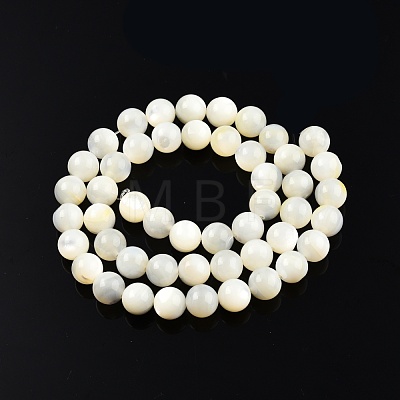 Natural White Shell Bead Strands SSHEL-N003-144G-01-1