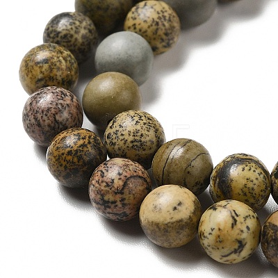 Natural Dendritic Jasper Beads Strands G-D481-16-1