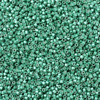 MIYUKI Delica Beads SEED-MY11-DB1182-1