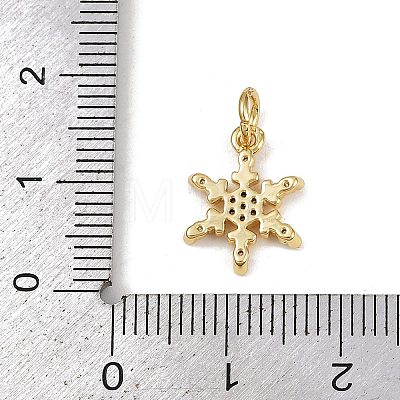 Brass Micro Pave Cubic Zirconia Charms LS-KK-H077-02G-04-1