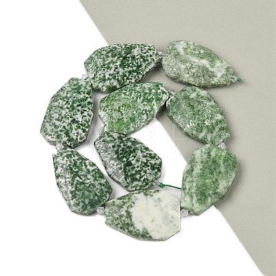 Natural Green Spot Jasper Beads Strands G-P548-B03-01-1