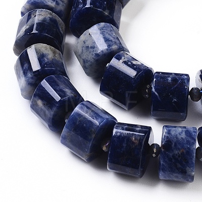 Natural Sodalite Beads Strands G-G801-01-1