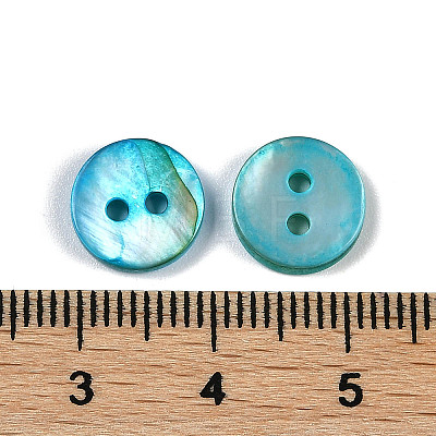 Freshwater Shell Buttons SHEL-C005-01C-11-1