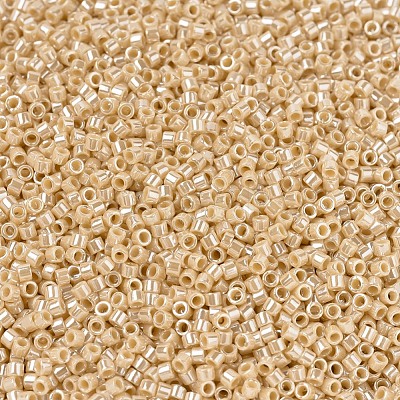 MIYUKI Delica Beads X-SEED-J020-DB1561-1