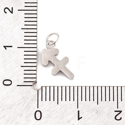 316 Stainless Steel Micro Pave Cubic Zirconia Pendants STAS-K284-01F-P-1