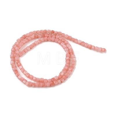 Natural Freshwater Shell Dyed Beads Strands SHEL-R100-11A-01-1