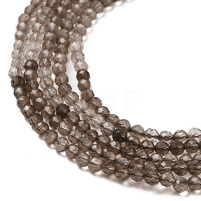 Natural Smoky Quartz Beads Strands G-E608-A04-1