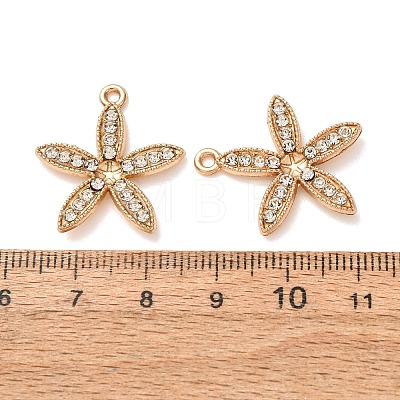 Alloy Rhinestone Pendants Cabochon Settings RB-CBAA987-10KCG-1