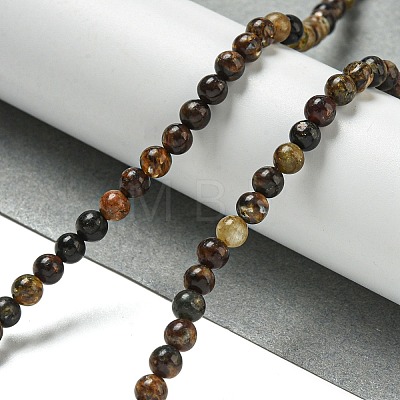 Natural Phlogopite Beads Strands G-P546-A01-01-1