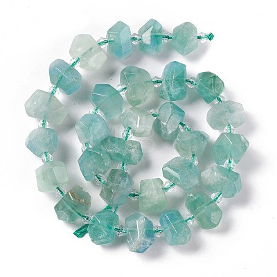 Natural Fluorite Beads Strands G-F719-22-1