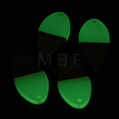 Luminous Glow in the Dark Wood & Resin Pendant WOOD-H104-04-1