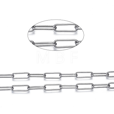 Unwelded Iron Paperclip Chains CH-S125-17A-01-1