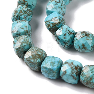 Natural Howlite Beads Strands G-G001-B03-02-1