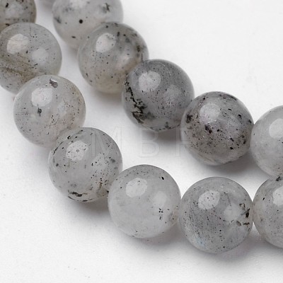 Natural Labradorite Beads Strands G-D809-07-6mm-1